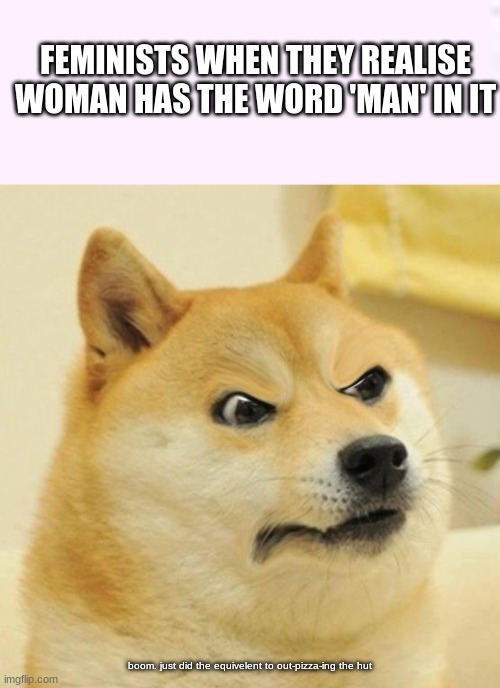 I had to make this meme | FEMINISTS WHEN THEY REALISE WOMAN HAS THE WORD 'MAN' IN IT; boom. just did the equivelent to out-pizza-ing the hut | image tagged in confused angery doge | made w/ Imgflip meme maker