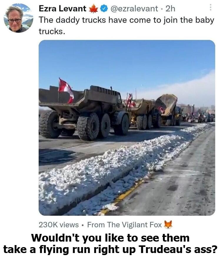 Wouldn't you like to see them take a flying run right up Trudeau's ass? | image tagged in daddy trucks,baby trucks,canadian truckers convoy,freedom truckers convoys,fuck trudeau,justin trudeau | made w/ Imgflip meme maker