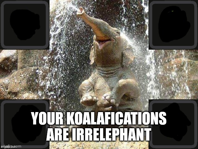 Upvote Elephant | YOUR KOALAFICATIONS ARE IRRELEPHANT | image tagged in upvote elephant | made w/ Imgflip meme maker