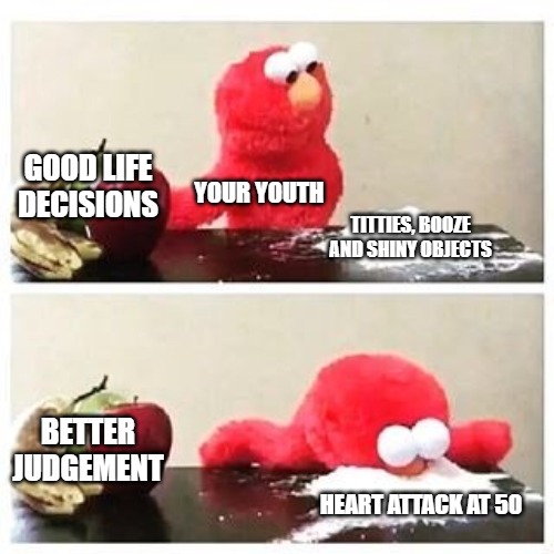 Elmo love rails | GOOD LIFE DECISIONS; YOUR YOUTH; TITTIES, BOOZE AND SHINY OBJECTS; BETTER JUDGEMENT; HEART ATTACK AT 50 | image tagged in elmo cocaine,drugs,elmo,junk tank | made w/ Imgflip meme maker