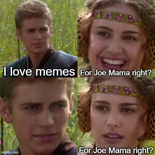 Joe mama when someone are not welcome | I love memes; For Joe Mama right? For Joe Mama right? | image tagged in anakin padme 4 panel,memes | made w/ Imgflip meme maker