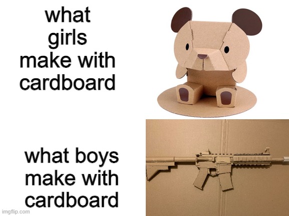 cardboard | what girls make with cardboard; what boys make with cardboard | image tagged in cardboard,m4a1 | made w/ Imgflip meme maker