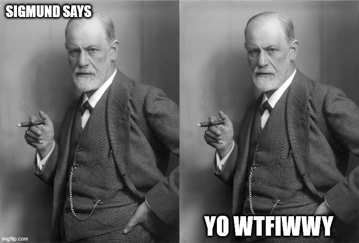 FREUDIAN GRIP | SIGMUND SAYS; YO WTFIWWY | image tagged in crazy,wack,glad your mother's back | made w/ Imgflip meme maker