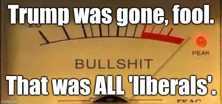 That BullShit is maxxed out! | Trump was gone, fool. That was ALL 'liberals'. | image tagged in that bullshit is maxxed out | made w/ Imgflip meme maker
