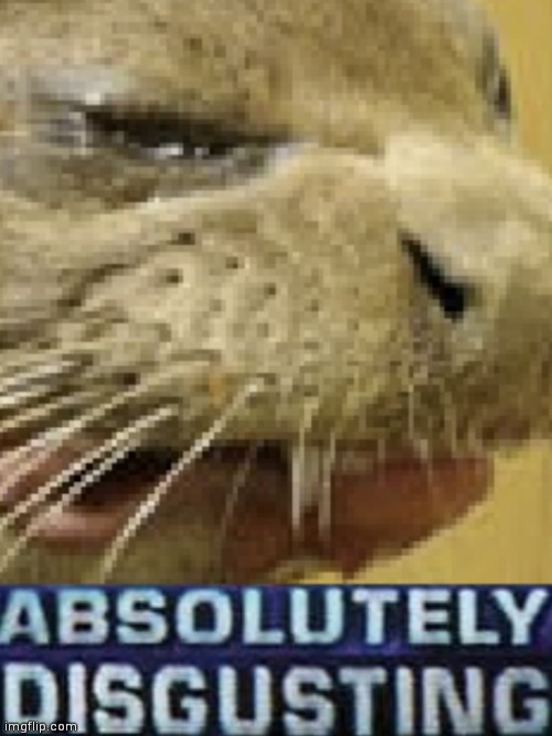 The post above the post above this one | image tagged in he be eatin | made w/ Imgflip meme maker