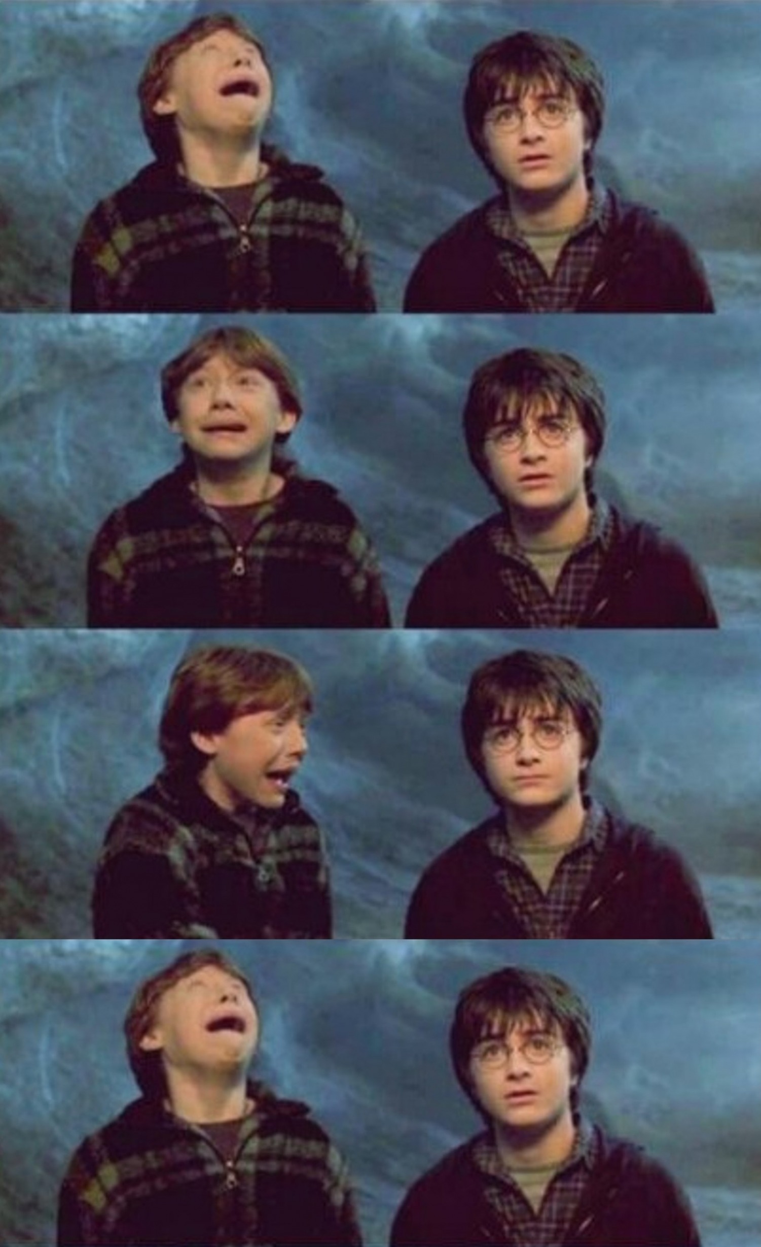 Harry & Ron Blank Meme Template