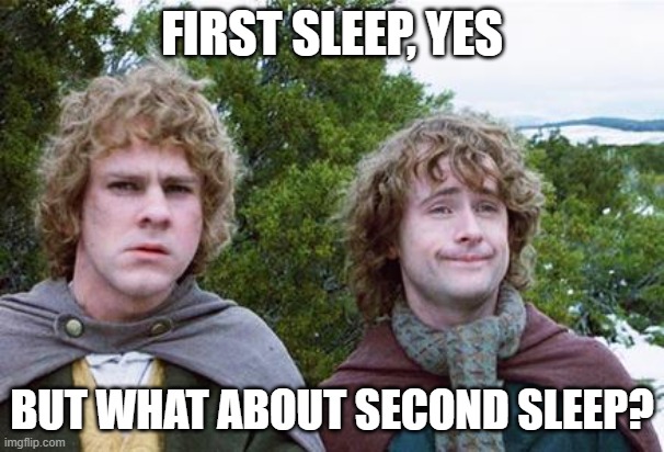 Second Breakfast | FIRST SLEEP, YES; BUT WHAT ABOUT SECOND SLEEP? | image tagged in second breakfast | made w/ Imgflip meme maker