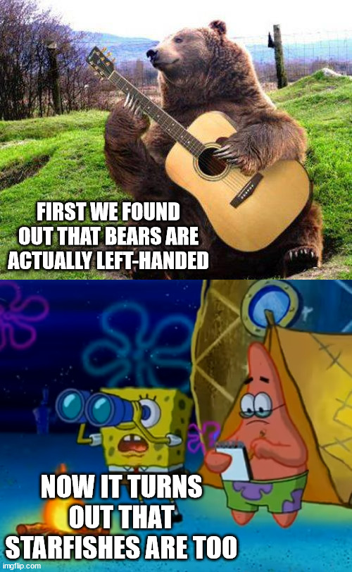 Left-handed creatures | FIRST WE FOUND OUT THAT BEARS ARE ACTUALLY LEFT-HANDED; NOW IT TURNS OUT THAT STARFISHES ARE TOO | image tagged in bear with guitar | made w/ Imgflip meme maker