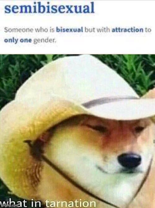no, that's not how it works | image tagged in what in tarnation dog | made w/ Imgflip meme maker