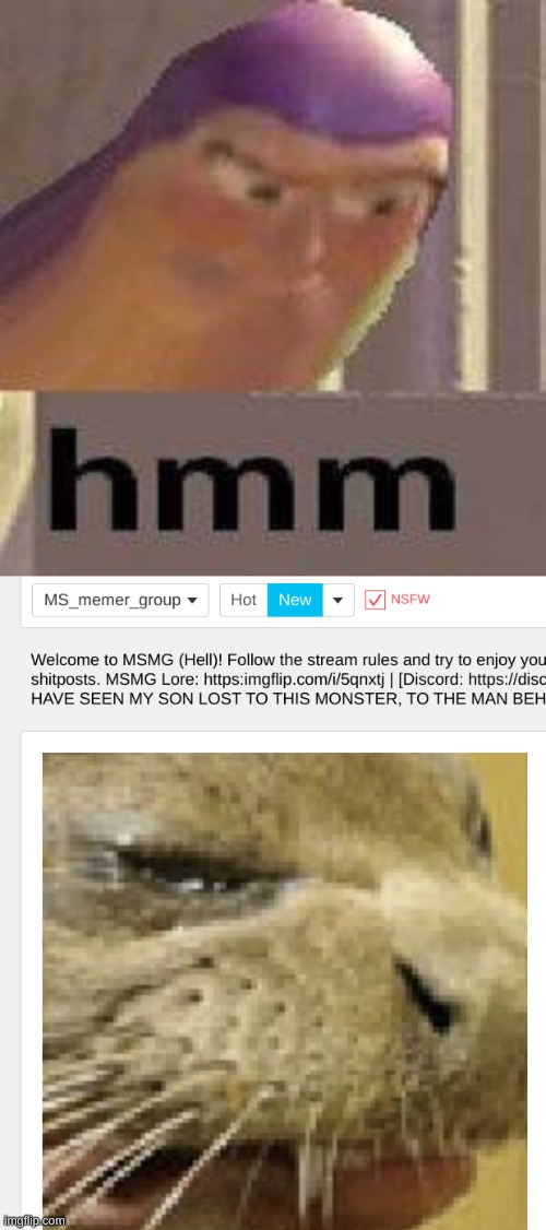 image tagged in buzz lightyear hmm | made w/ Imgflip meme maker