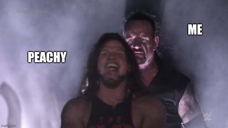 AJ Styles & Undertaker | PEACHY ME | image tagged in aj styles undertaker | made w/ Imgflip meme maker