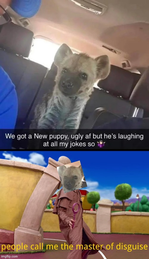 Hyena In Disguise | image tagged in master of disguise lazy town,memes,unfunny | made w/ Imgflip meme maker