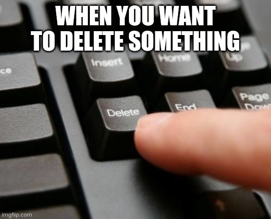 When you want to delet something | WHEN YOU WANT TO DELETE SOMETHING | image tagged in delete | made w/ Imgflip meme maker