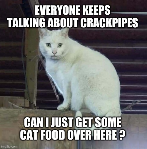 I Have To Poop Cat | EVERYONE KEEPS TALKING ABOUT CRACKPIPES; CAN I JUST GET SOME CAT FOOD OVER HERE ? | image tagged in i have to poop cat,hungry,crack,pipe,food,what do we want | made w/ Imgflip meme maker