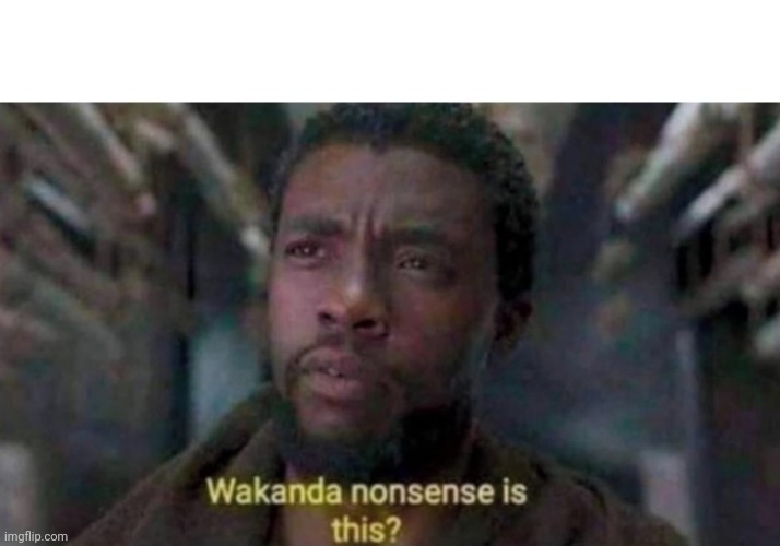 Wakanda nonsense is this | image tagged in wakanda nonsense is this | made w/ Imgflip meme maker