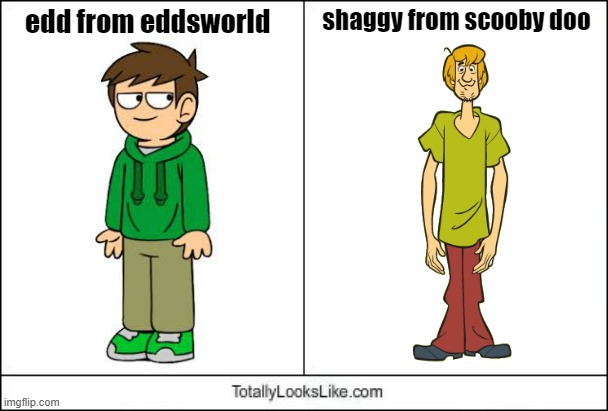 am i right or am i wrong? | shaggy from scooby doo; edd from eddsworld | image tagged in totally looks like | made w/ Imgflip meme maker