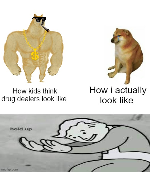hahahaha i am crying | How kids think drug dealers look like; How i actually look like | image tagged in memes,buff doge vs cheems | made w/ Imgflip meme maker