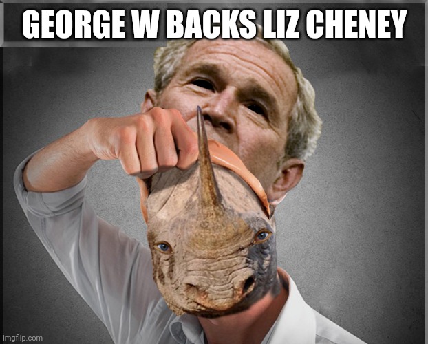 George W Backs Liz Cheney | GEORGE W BACKS LIZ CHENEY | image tagged in rhino,george bush | made w/ Imgflip meme maker