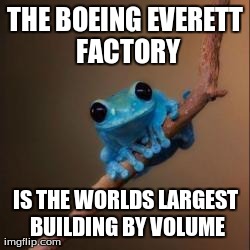 Fun Fact Frog | THE BOEING EVERETT FACTORY IS THE WORLDS LARGEST BUILDING BY VOLUME | image tagged in fun fact frog,AdviceAnimals | made w/ Imgflip meme maker