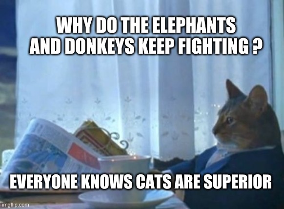 I Should Buy A Boat Cat | WHY DO THE ELEPHANTS AND DONKEYS KEEP FIGHTING ? EVERYONE KNOWS CATS ARE SUPERIOR | image tagged in i should buy a boat cat,politics,political meme,cat meme,republicans,democrats | made w/ Imgflip meme maker