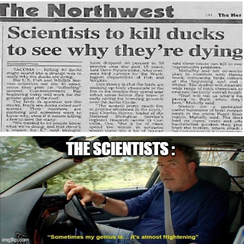 yes. | THE SCIENTISTS : | image tagged in duck,dying ducks,scientists killing ducks | made w/ Imgflip meme maker