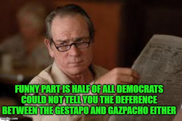 no country for old men tommy lee jones | FUNNY PART IS HALF OF ALL DEMOCRATS COULD NOT TELL YOU THE DEFERENCE BETWEEN THE GESTAPO AND GAZPACHO EITHER | image tagged in no country for old men tommy lee jones | made w/ Imgflip meme maker