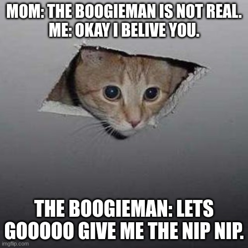 The boogie man is off and has a new worker. |  MOM: THE BOOGIEMAN IS NOT REAL.
ME: OKAY I BELIVE YOU. THE BOOGIEMAN: LETS GOOOOO GIVE ME THE NIP NIP. | image tagged in memes,ceiling cat | made w/ Imgflip meme maker