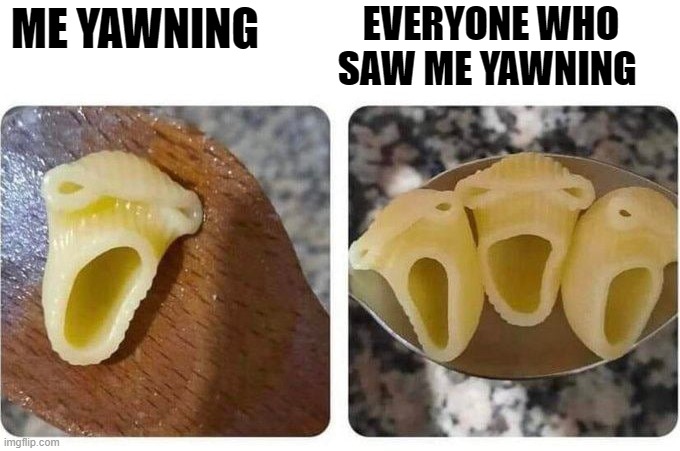 me yawning | EVERYONE WHO SAW ME YAWNING; ME YAWNING | image tagged in yawning,me | made w/ Imgflip meme maker