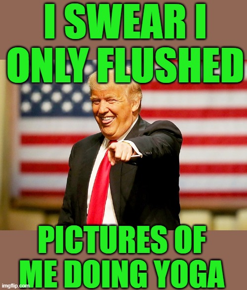yep | I SWEAR I ONLY FLUSHED; PICTURES OF ME DOING YOGA | image tagged in trump | made w/ Imgflip meme maker