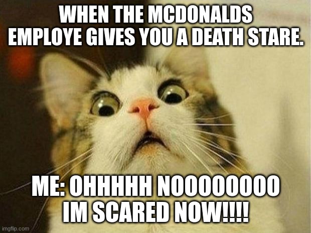 the death stare | WHEN THE MCDONALDS EMPLOYE GIVES YOU A DEATH STARE. ME: OHHHHH NOOOOOOOO IM SCARED NOW!!!! | image tagged in memes,scared cat | made w/ Imgflip meme maker