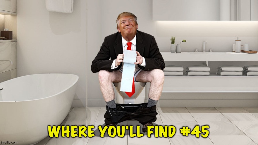 Trump Toilet | WHERE YOU'LL FIND #45 | image tagged in trump toilet | made w/ Imgflip meme maker