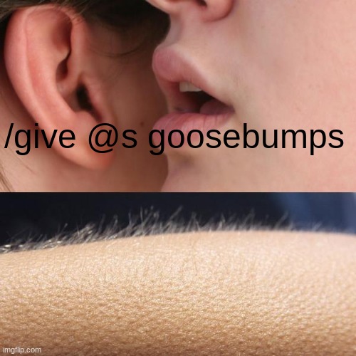 new minecraft command |  /give @s goosebumps | image tagged in djlksdf | made w/ Imgflip meme maker