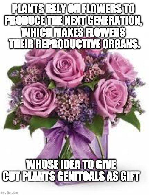 purple flowers | PLANTS RELY ON FLOWERS TO 
PRODUCE THE NEXT GENERATION, 
WHICH MAKES FLOWERS 
THEIR REPRODUCTIVE ORGANS. WHOSE IDEA TO GIVE CUT PLANTS GENITOALS AS GIFT | image tagged in flowers,memes | made w/ Imgflip meme maker