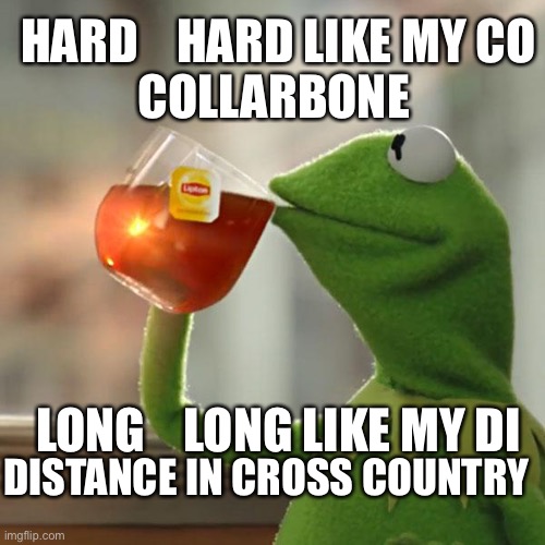 But That's None Of My Business Meme | COLLARBONE; HARD    HARD LIKE MY CO; LONG    LONG LIKE MY DI; DISTANCE IN CROSS COUNTRY | image tagged in memes,but that's none of my business,kermit the frog | made w/ Imgflip meme maker