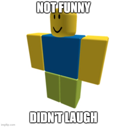 n | NOT FUNNY; DIDN'T LAUGH | image tagged in not funny,funny,noob,roblox,roblox noob | made w/ Imgflip meme maker