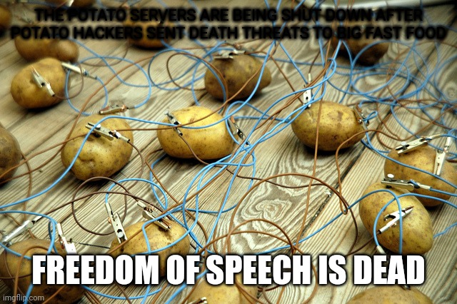 THE POTATO SERVERS ARE BEING SHUT DOWN AFTER POTATO HACKERS SENT DEATH THREATS TO BIG FAST FOOD FREEDOM OF SPEECH IS DEAD | image tagged in potato servers | made w/ Imgflip meme maker