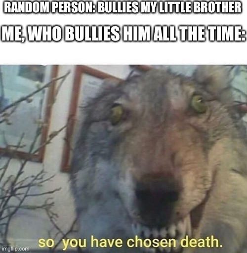 So you have chosen death | RANDOM PERSON: BULLIES MY LITTLE BROTHER; ME, WHO BULLIES HIM ALL THE TIME: | image tagged in so you have chosen death | made w/ Imgflip meme maker