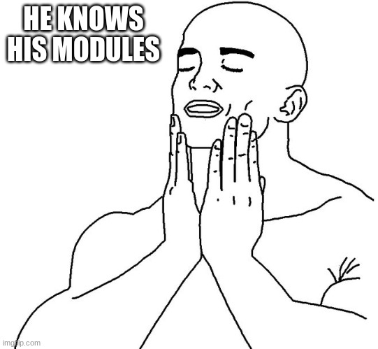 Satisfaction | HE KNOWS HIS MODULES | image tagged in satisfaction | made w/ Imgflip meme maker