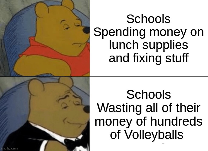 This Is So True That It's Sad | Schools Spending money on lunch supplies and fixing stuff; Schools Wasting all of their money of hundreds of Volleyballs | image tagged in memes,tuxedo winnie the pooh | made w/ Imgflip meme maker