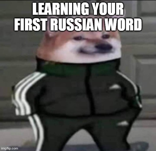 true | LEARNING YOUR FIRST RUSSIAN WORD | image tagged in slav doge | made w/ Imgflip meme maker