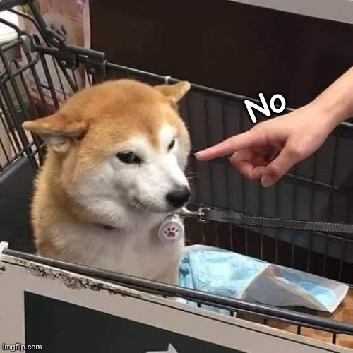 No horny | No | image tagged in no horny | made w/ Imgflip meme maker