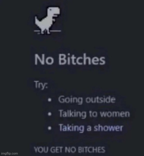 no bitches | image tagged in no bitches | made w/ Imgflip meme maker