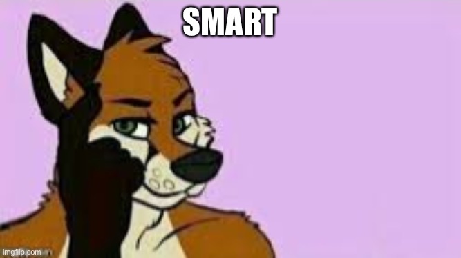 SMART | image tagged in roll furry think about it | made w/ Imgflip meme maker
