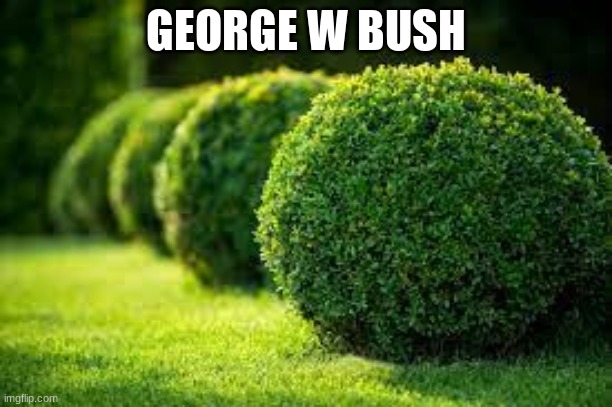 this is kind of true |  GEORGE W BUSH | image tagged in george bush | made w/ Imgflip meme maker