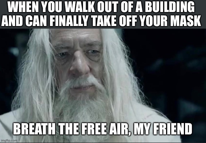Free air | WHEN YOU WALK OUT OF A BUILDING AND CAN FINALLY TAKE OFF YOUR MASK; BREATH THE FREE AIR, MY FRIEND | image tagged in gandalf | made w/ Imgflip meme maker