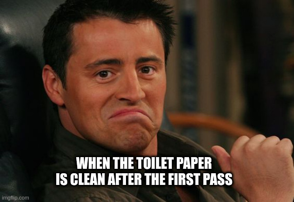This is a title | WHEN THE TOILET PAPER IS CLEAN AFTER THE FIRST PASS | image tagged in proud joey | made w/ Imgflip meme maker