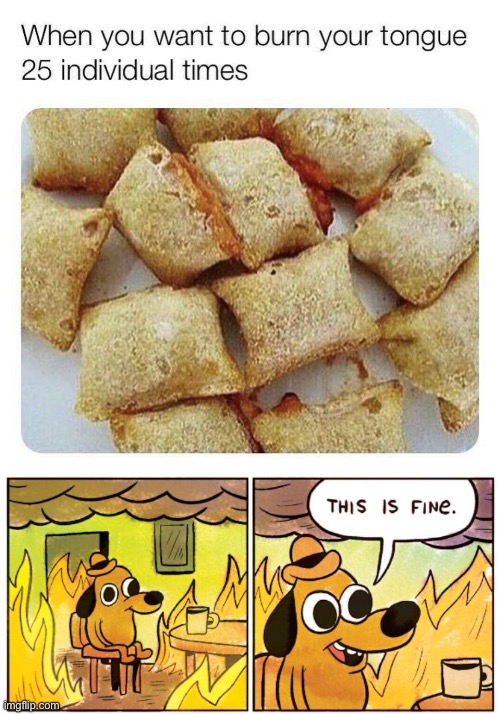 image tagged in memes,this is fine | made w/ Imgflip meme maker