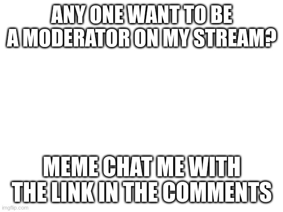Blank White Template | ANY ONE WANT TO BE A MODERATOR ON MY STREAM? MEME CHAT ME WITH THE LINK IN THE COMMENTS | image tagged in blank white template | made w/ Imgflip meme maker