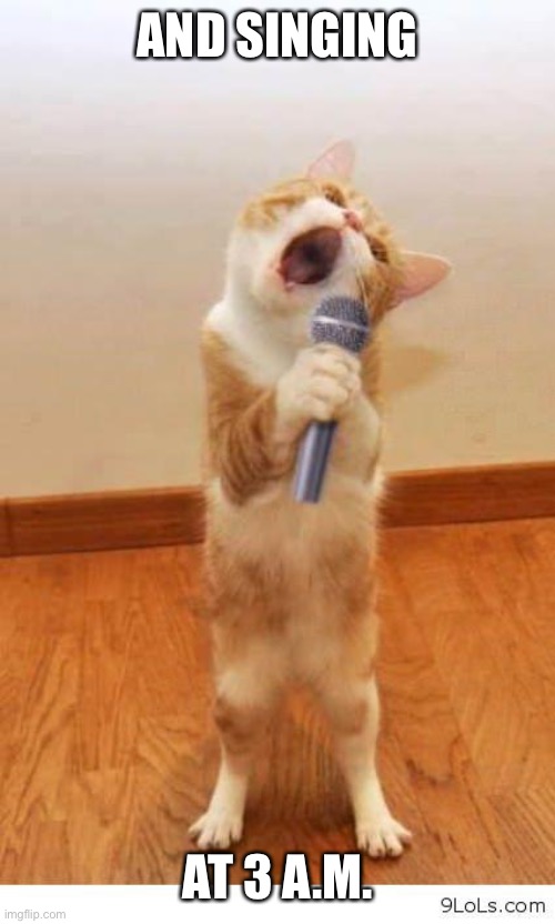 Cat Singer | AND SINGING AT 3 A.M. | image tagged in cat singer | made w/ Imgflip meme maker