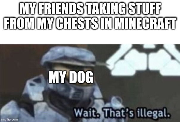 wait. that's illegal | MY FRIENDS TAKING STUFF FROM MY CHESTS IN MINECRAFT; MY DOG | image tagged in wait that's illegal | made w/ Imgflip meme maker